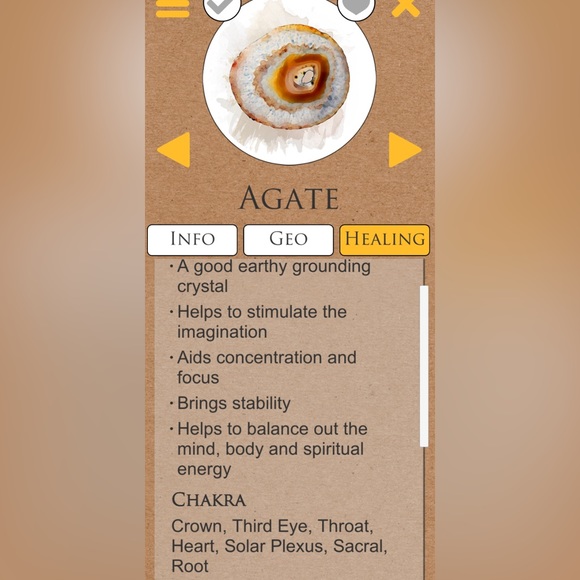 Thunder egg Agate - Picture 2 of 2